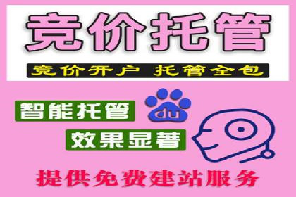 百度竞价投放效果评估及案例解读